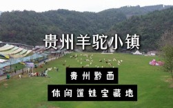鞍山大悦城四楼羊驼店叫什么？鞍山大悦城的羊驼店具体名称是什么？
