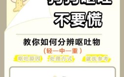狗狗叼出猫粮后弄脏了怎么办？如何防止此类情况发生？