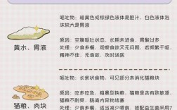 猫咪吃了猫粮还呕吐怎么办？