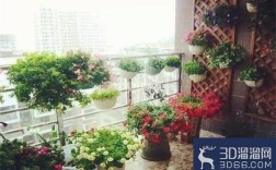 刚装修好的房子适合养什么植物？