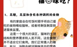 制作猫饭后猫咪仍不吃猫粮的原因是什么？