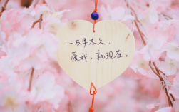 摩羯座钟情的腊梅花风格