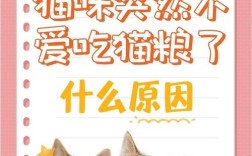 猫咪偏爱吃虾不吃猫粮是为什么？