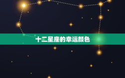 双子座钟情的勿忘我颜色