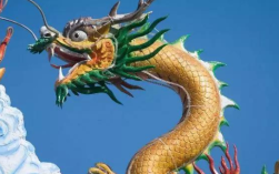 白羊座适合的宠物变色龙种类