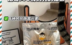 玻璃米缸储存猫粮是否合适？正确的放置方法是什么？