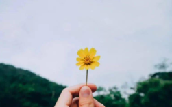 天秤座的人在感情中专情吗？