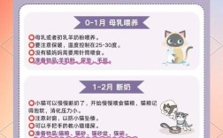 断奶期怎么喂食幼猫粮呢？有哪些注意事项？