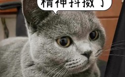 猫粮里出现鼻涕虫是怎么回事？如何处理？