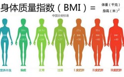 bmi体重指数怎么计算，bmi的计算公式