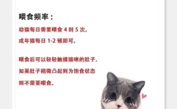 新买的猫食量少会有什么影响？