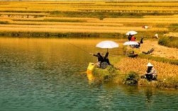 东湖芦苇塘钓鱼技巧有哪些？如何提高钓鱼成功率？