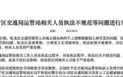 如何掌握钓鱼执法技巧教程？常见问题有哪些？
