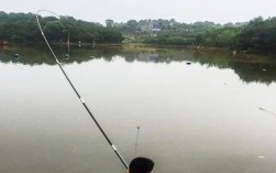 东北菱角塘钓鱼技巧有哪些？如何提高钓鱼成功率？