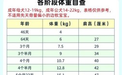 成年母德牧的标准体重范围是多少？