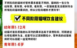 用猫粮吻猫脸对猫有好处吗？这样做可能带来哪些后果？