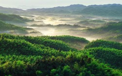 宜宾有什么好玩的地方？宜宾旅游十大必去景点！