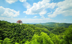 益阳旅游必去十大景点（益阳旅游景点推荐）