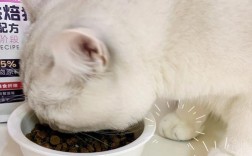 猫为什么会特别喜欢吃猫粮？这背后有什么原因？