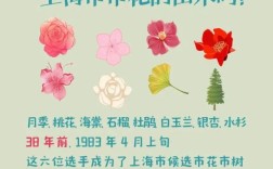 上海市市花是什么花？白玉兰为何在上海“C位出道”？