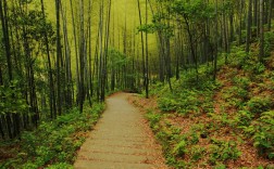 黄山市旅游景点大全介绍（黄山旅游必去十大景点）