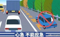 车牌号000代表什么意思?车牌号00000是政府的车吗