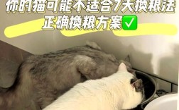如何正确管理猫咪的留粮？