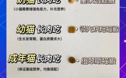 哪些猫粮消化吸收好？如何选择？