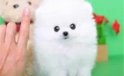 贵阳发展潜力大吗?贵阳消费水平怎么样