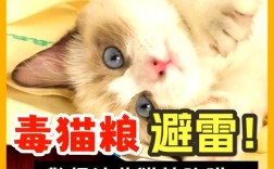 猫粮出现苦味是怎么回事？是否安全食用？