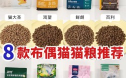 布偶猫需要低脂肪猫粮吗？如何选择合适的猫粮？
