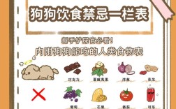 狗狗不吃剩粮会有什么后果？如何处理剩余食物？