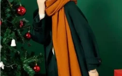 星柚服饰旗下女装品牌有哪些 星柚服饰属于什么档次