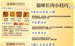 自制猫粮的保存技巧是什么？