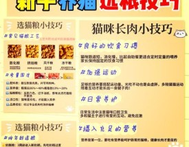 自制猫粮的保存技巧是什么？