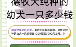 潮汕直销德牧价格是多少？购买时应注意什么？