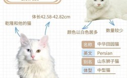 哪个品牌的猫粮有狮子图案？狮子图案猫粮品牌的特点是什么？
