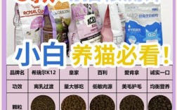 如何选择消化易吸收的猫粮？