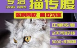 狗狗腹水如何治疗？吃什么药可以有效排尿？
