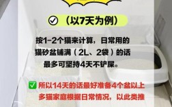 回家过年时猫咪留守，猫粮应该如何处理？