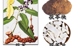 茯苓的功效与作用
